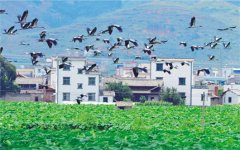 強化招商引資 推進園區(qū)建設——訪市黨代表、工業(yè)園區(qū)主任李俊龍