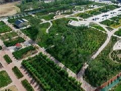 溧陽(yáng)市：大力支持現(xiàn)代農(nóng)業(yè)高質(zhì)量發(fā)展