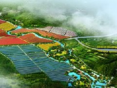 鄭州市工信局：積極構(gòu)建管城區(qū)、經(jīng)開區(qū)、中牟縣“兩區(qū)一縣”氫燃料電池汽車