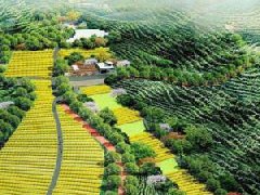 自治區(qū)科技廳關(guān)于2022年廣西農(nóng)業(yè)科技園區(qū)擬認定名單的公示