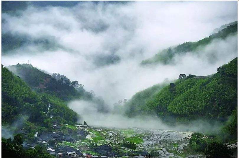 四、農(nóng)村一二三產(chǎn)業(yè)融合發(fā)展先導(dǎo)區(qū)項目