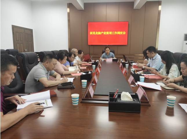 發(fā)力五型經濟，著力打造“中國龍腦之都”